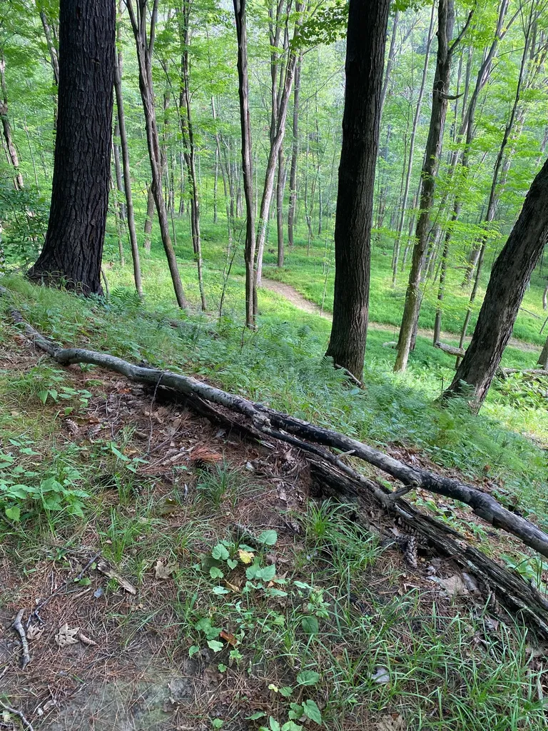 Capital Trail Alliance