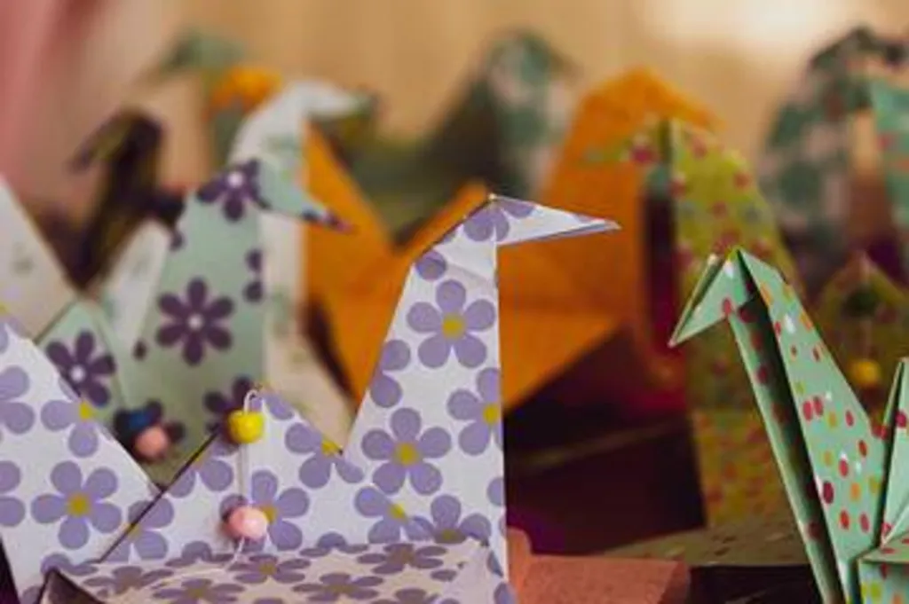 Adult Origami