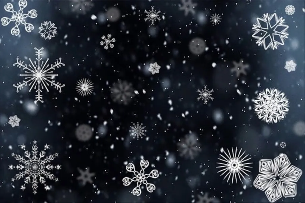 Frost Lab: Crystals, Symmetry & Snow with Artist Ashley Witzgall