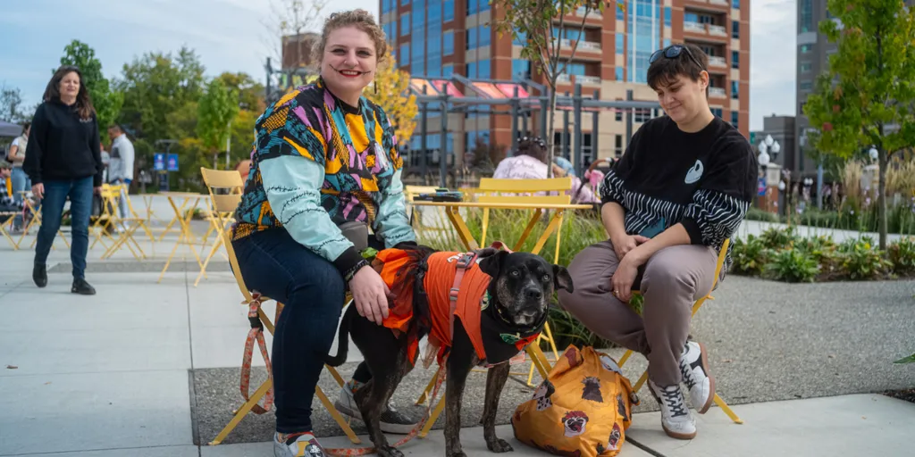 Hounds of Halloween