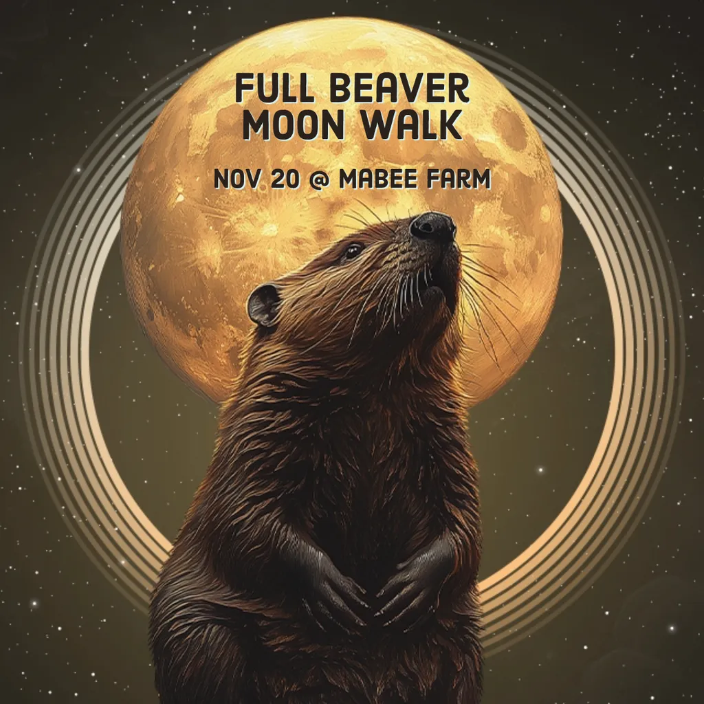 Full Beaver Moon Walk