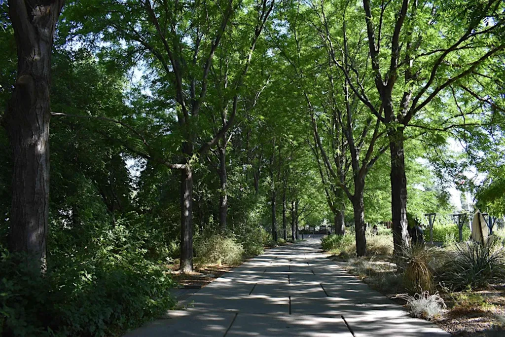 Mindfulness in the Garden: A Guided Forest Bathing Experience