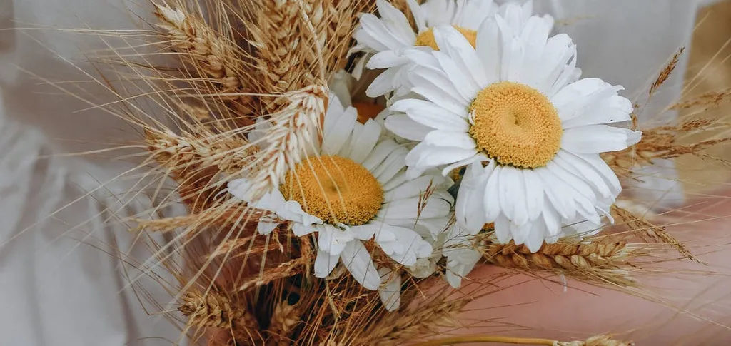 Crazy Daisy Galentines Pop-Up Market