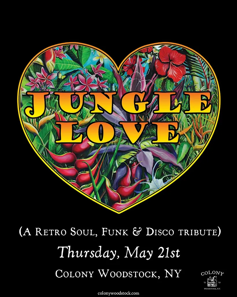 Jungle Love - A Retro Soul, Funk & Disco tribute