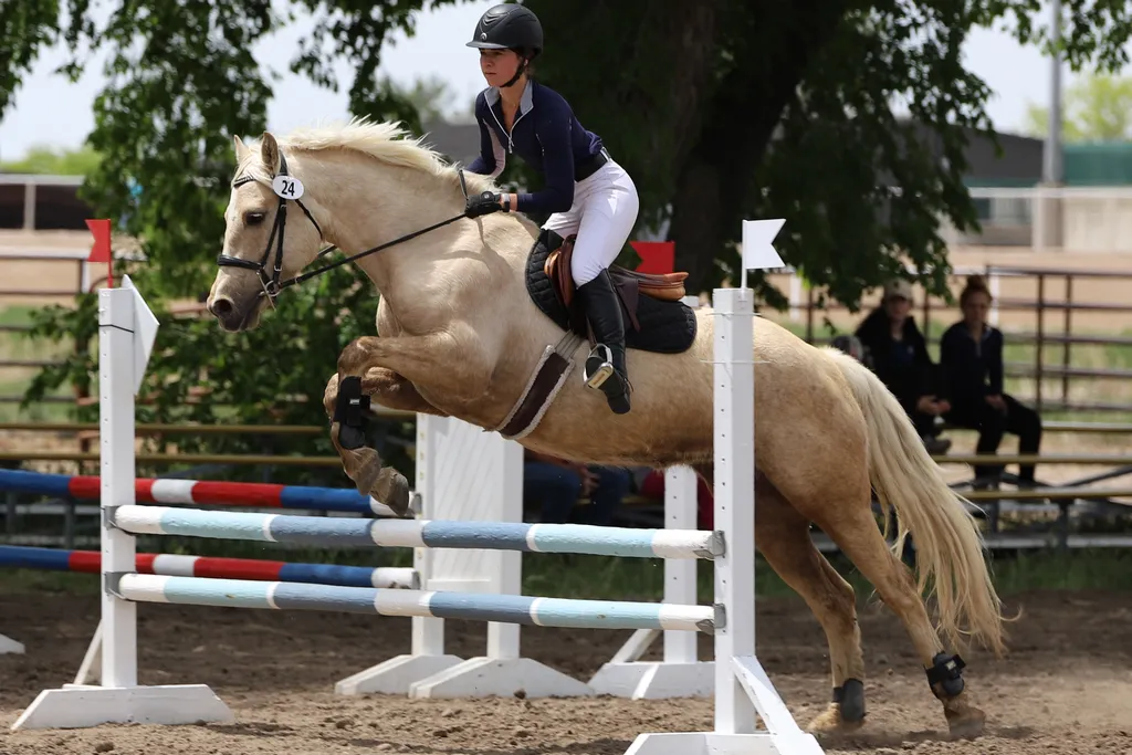 Wasatch Pony Club's Golden Spike Horse Trials