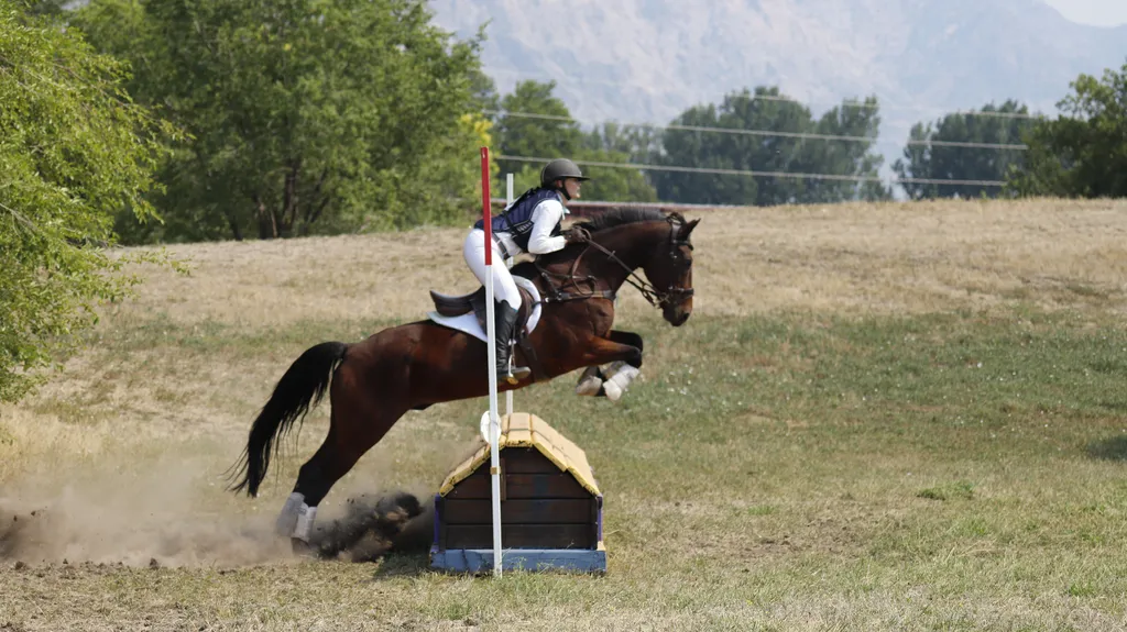 Wasatch Pony Club's Pumpkin Schooling Event