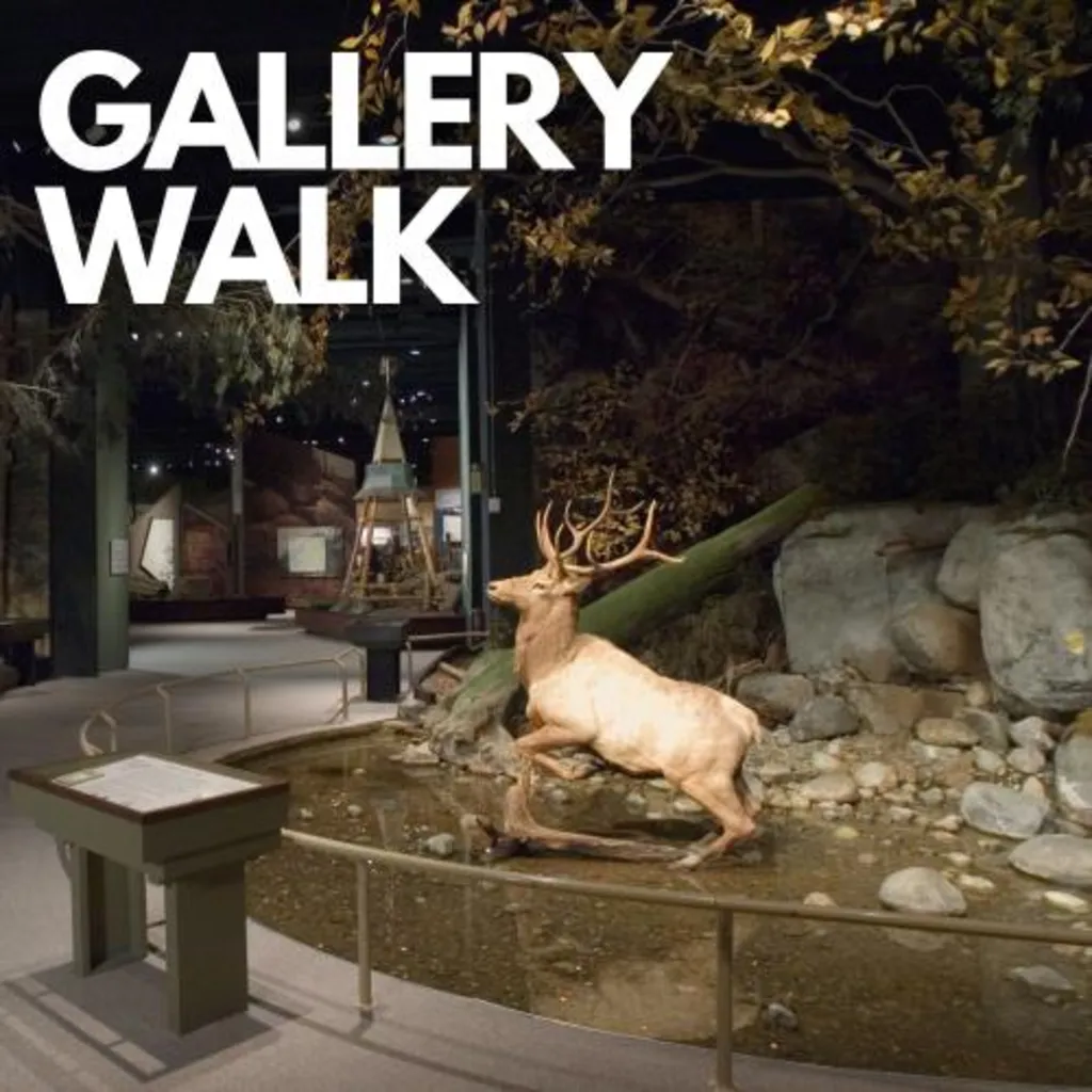 New York Rocks & Wild Lives: A Gallery Walk with Dr. Chuck Ver Straeten