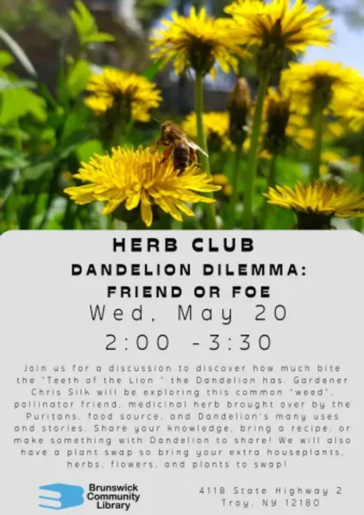 Herb Club "Dandelion Dilemma: Friend or Foe?"