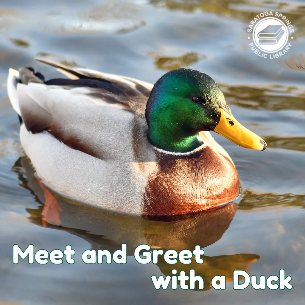 Meet and Greet with a Duck In-Person