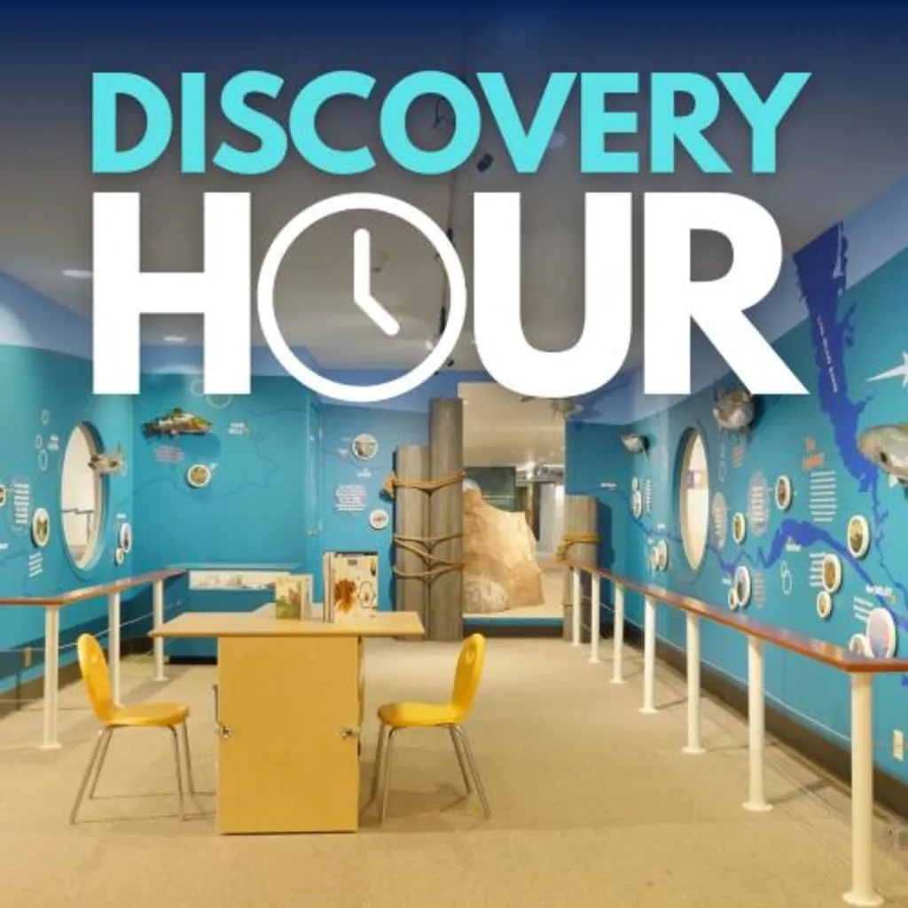 Discovery Hour