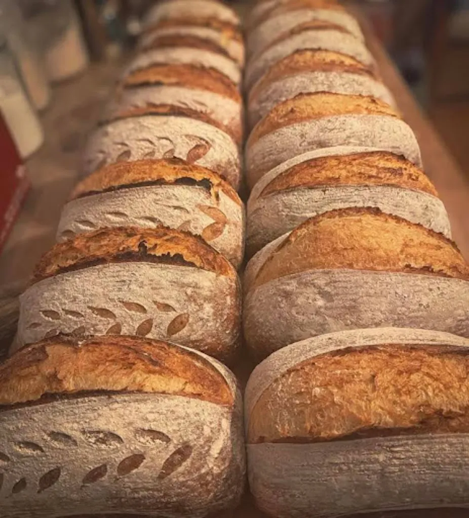 Beginner Sourdough Baking with Cocoa & Sage May 8th