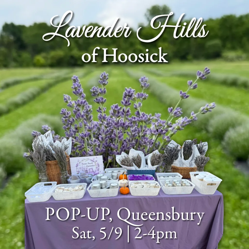 Lavender Hills of Hoosic Pop-Up (QBY)