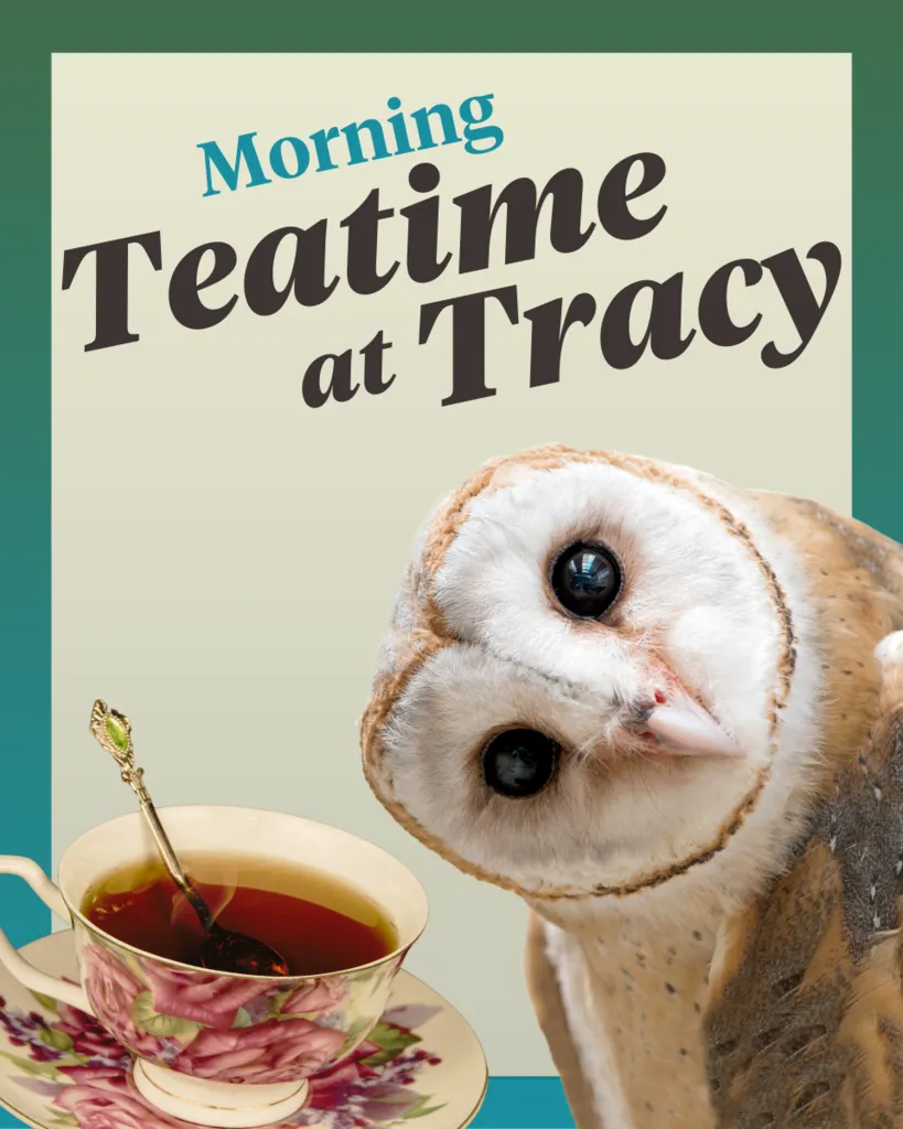 Mother’s Day Teatime at Tracy – Sweet Sunrise