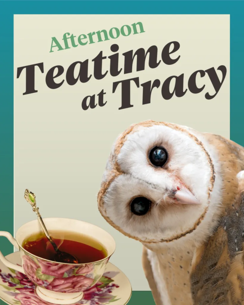 Mother’s Day Teatime at Tracy – Afternoon Niceties