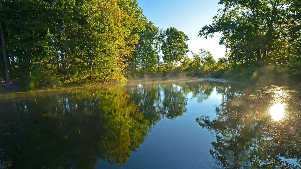 Spring Stroll for Everyone - Five Rivers