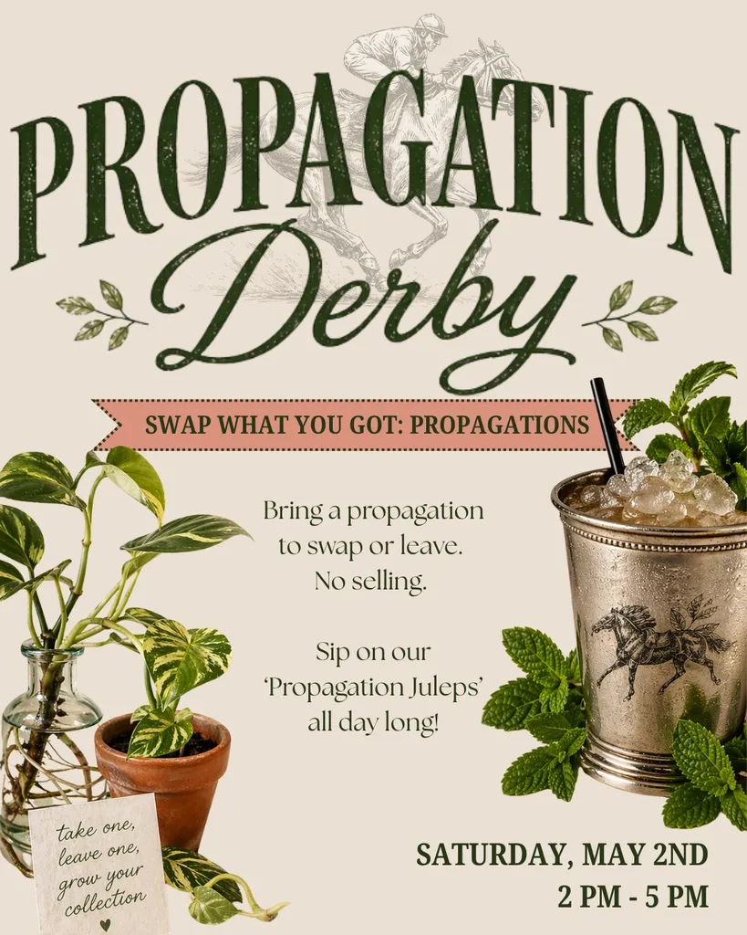 Prop Swap: The Propagation Derby