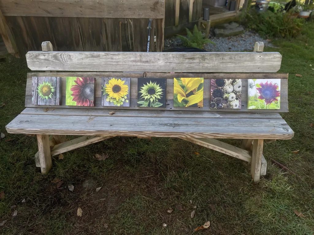 See Mira's and others' work in the Tri-County Literacy group art show!