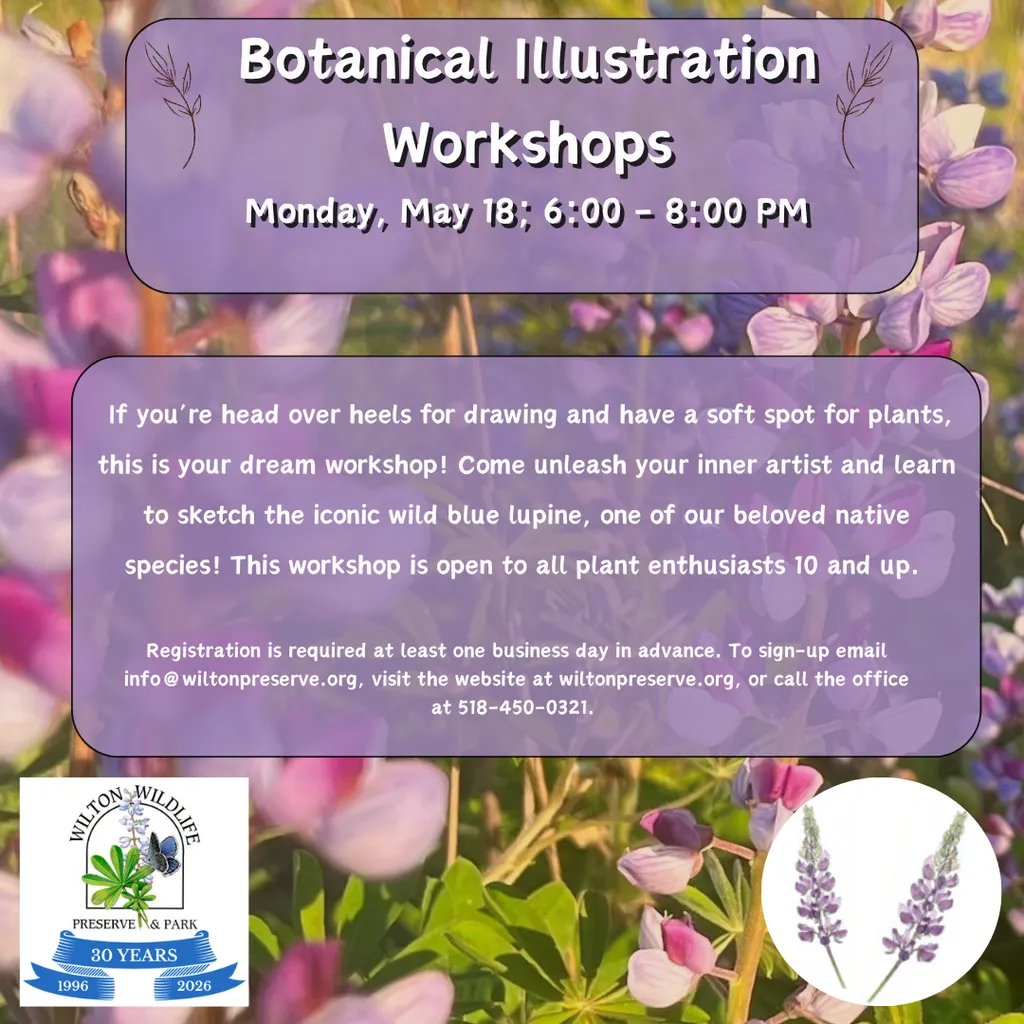 Botanical Illustration Workshop