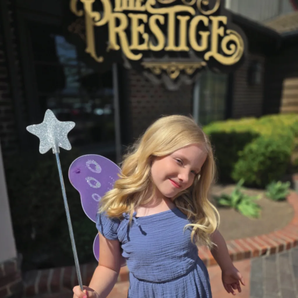 The Fairy Academy the Prestige Magic Lounge