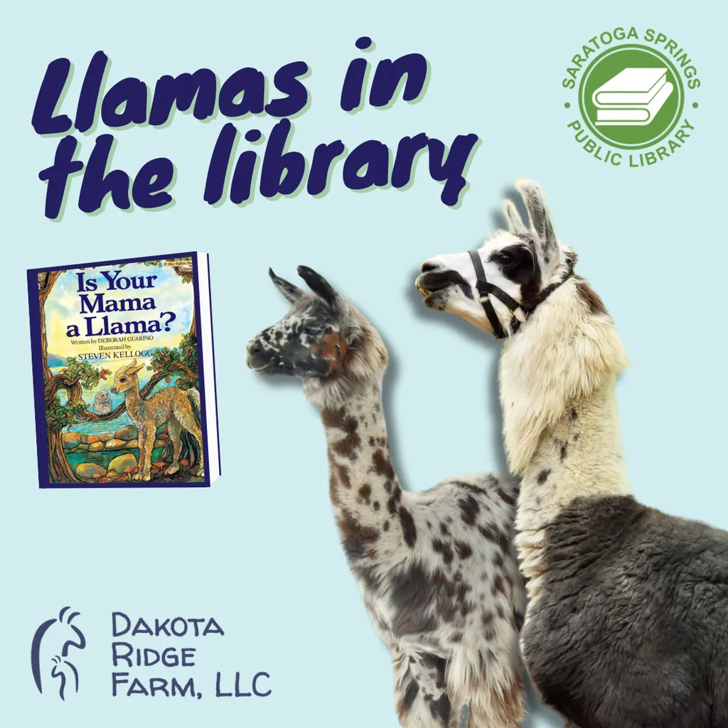 Llamas in the Library In-Person