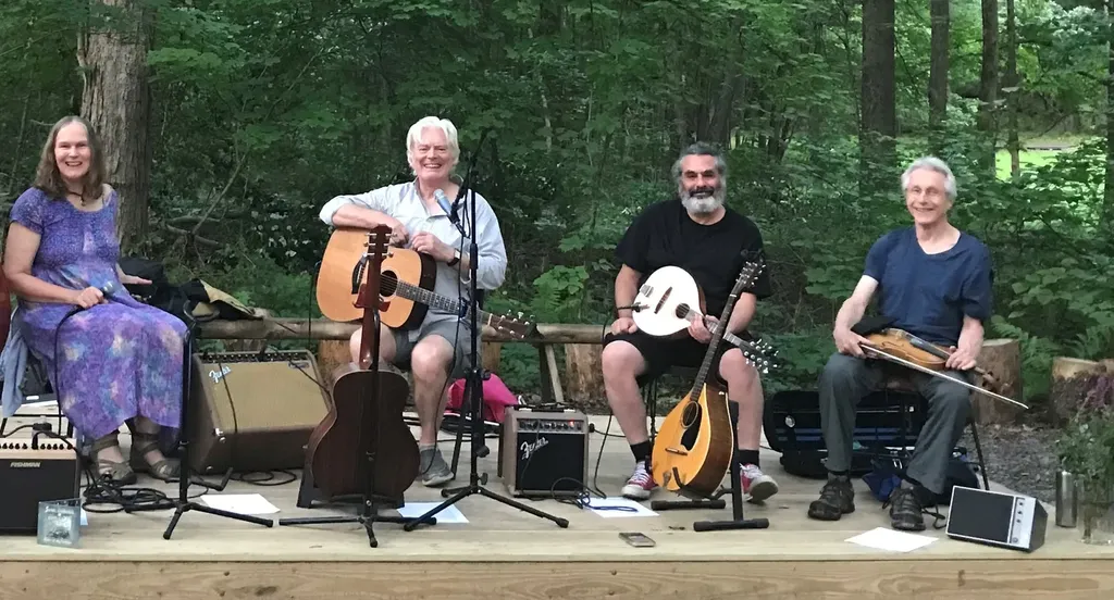Wild Swan Band