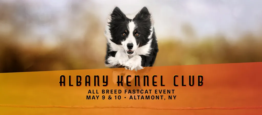 All Breed AKC FastCAT hosted by Albany KC