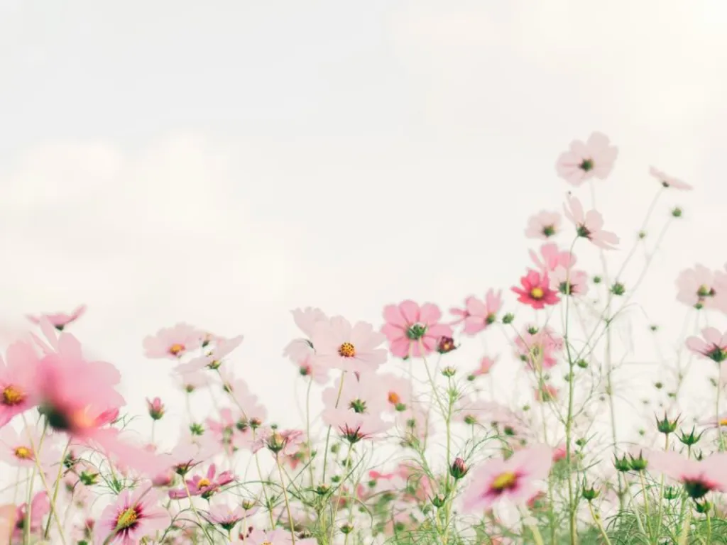 Mother’s Day Brunch at The Lakeside Restaurant & Lounge