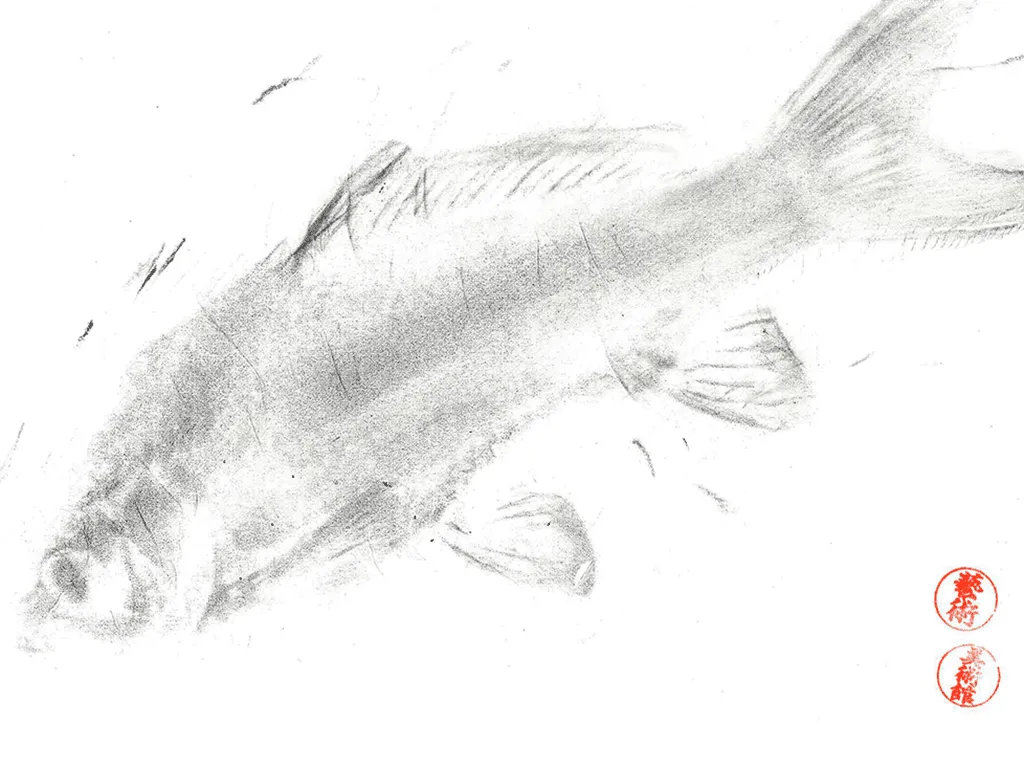 UMFA in the Wild: Gyotaku Fish Rubbings