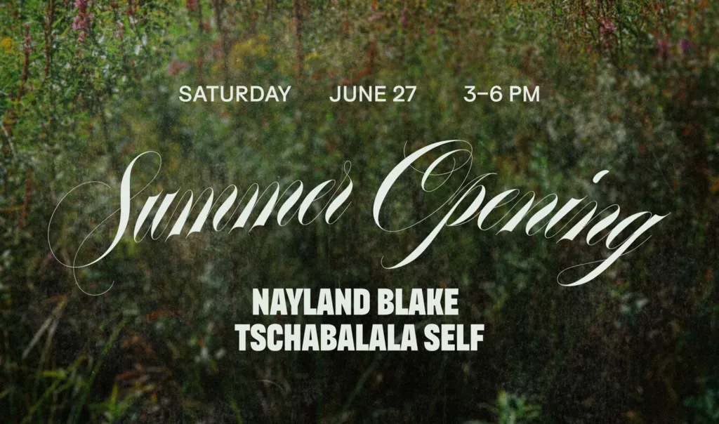 Summer Opening: Nayland Blake | Tschabalala Self