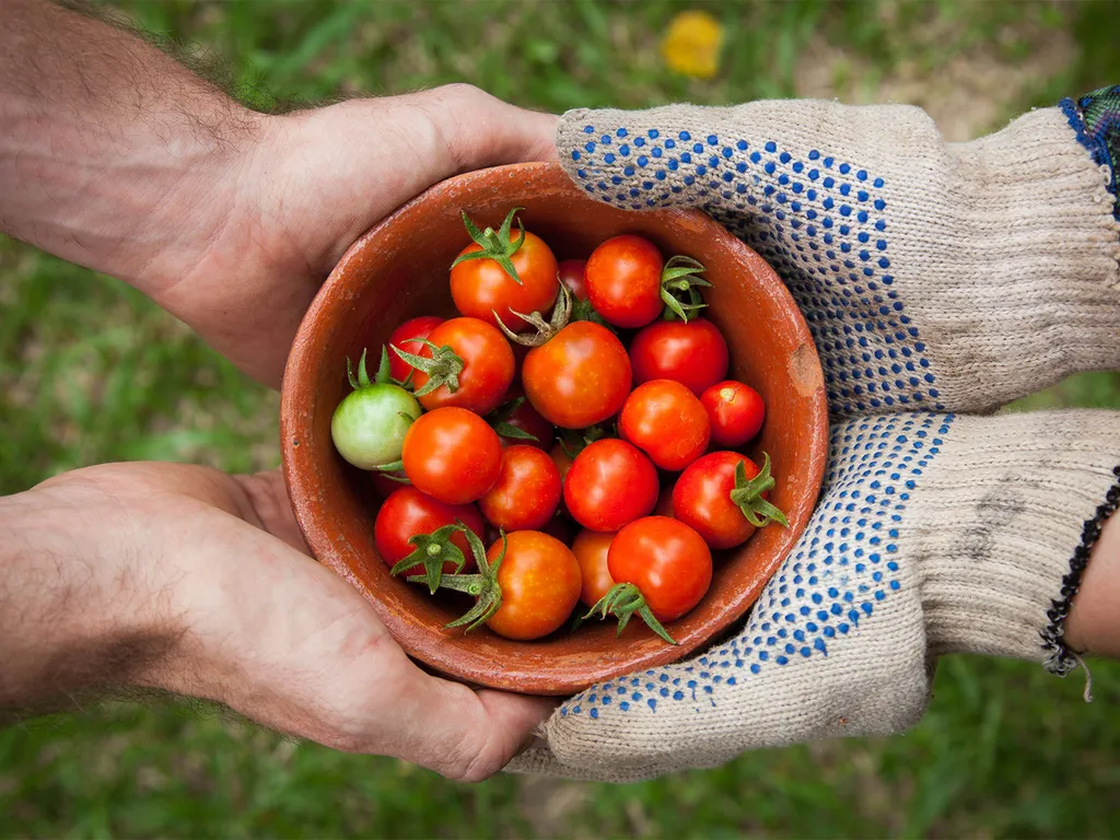 2026 Sabores de Mi Patria: El Maíz, nuestra raíz - Born from Corn