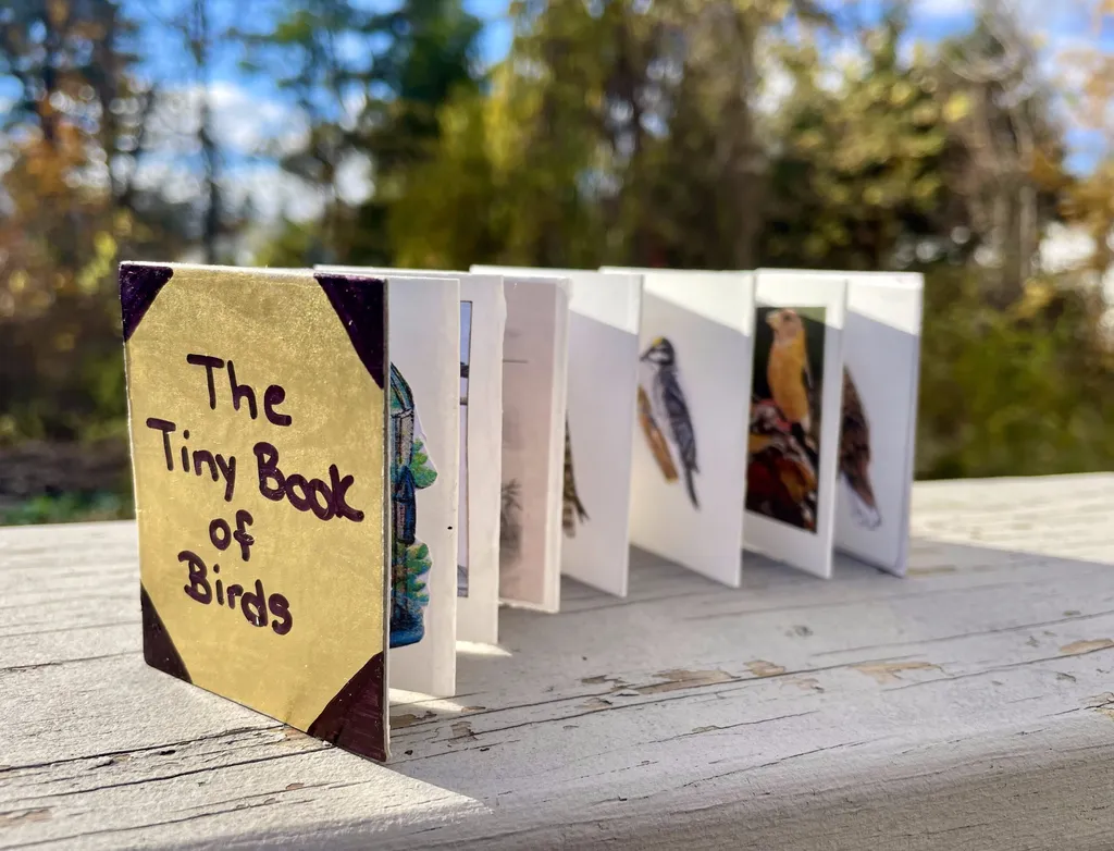 Tiny Bird Book Contemplative