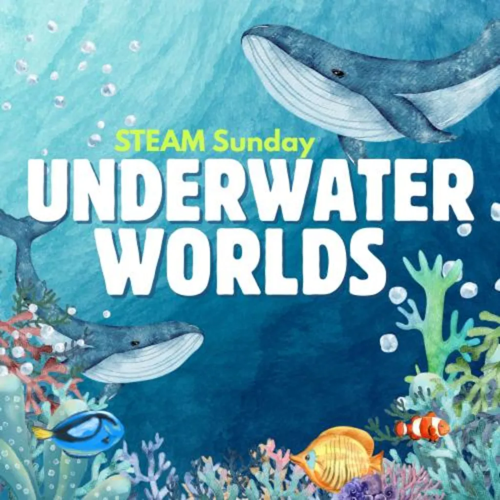 STEAM Sunday: Underwater Worlds