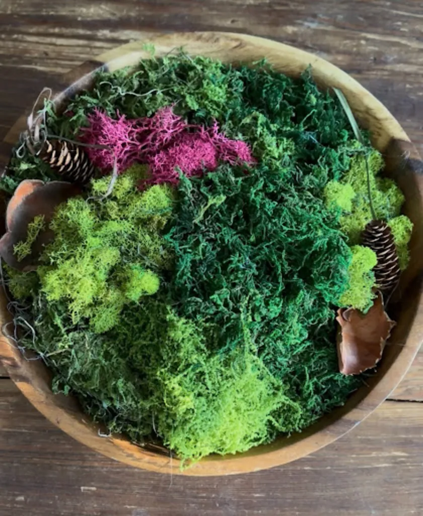 DIY Moss Bowl Centerpiece
