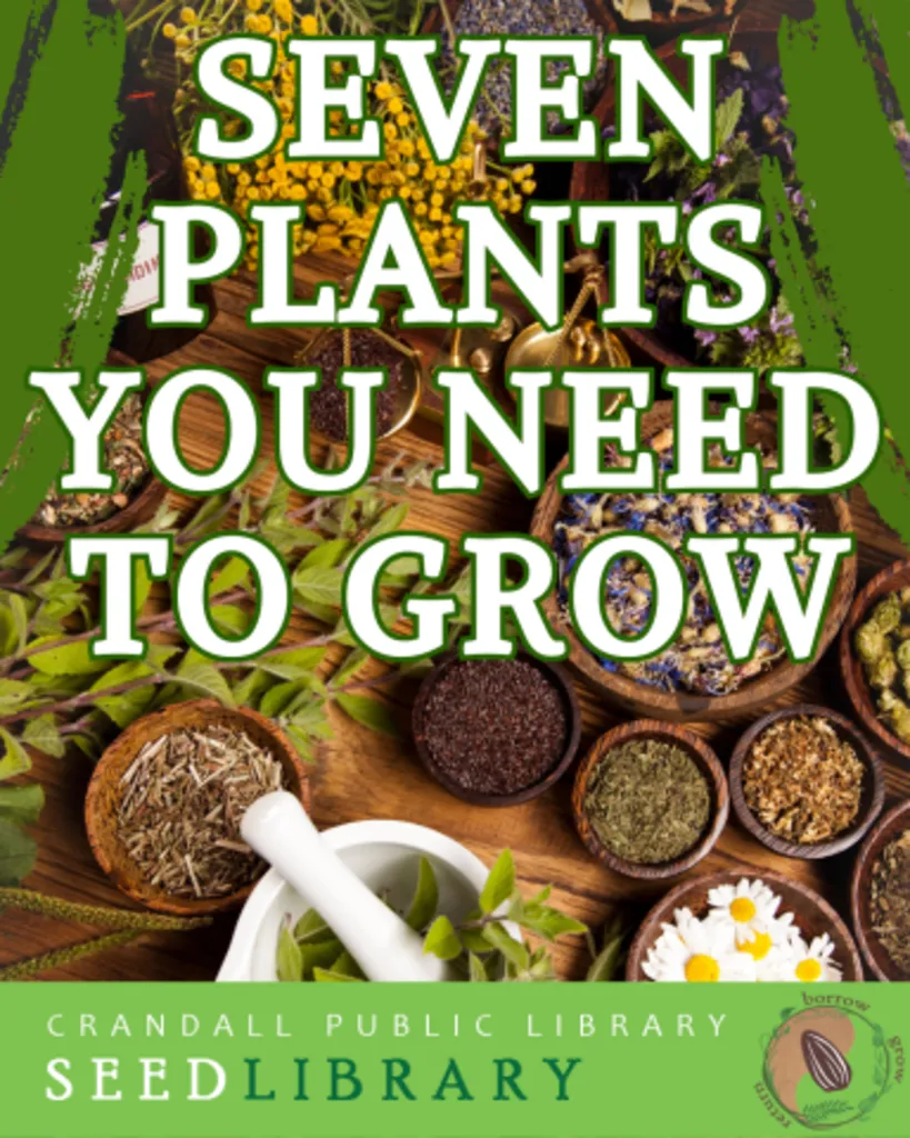 Seed Library: Seven Plants You Need to Grow with Herbalist & Master Gardener JoAnn Pedersen