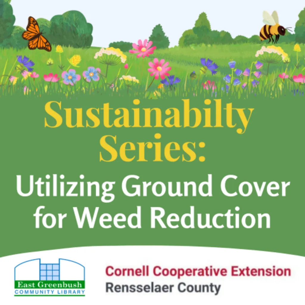 Utilizing Ground Cover for Weed Reduction