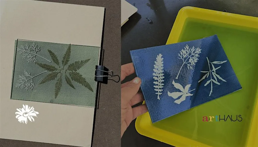 Cyanotype Workshop