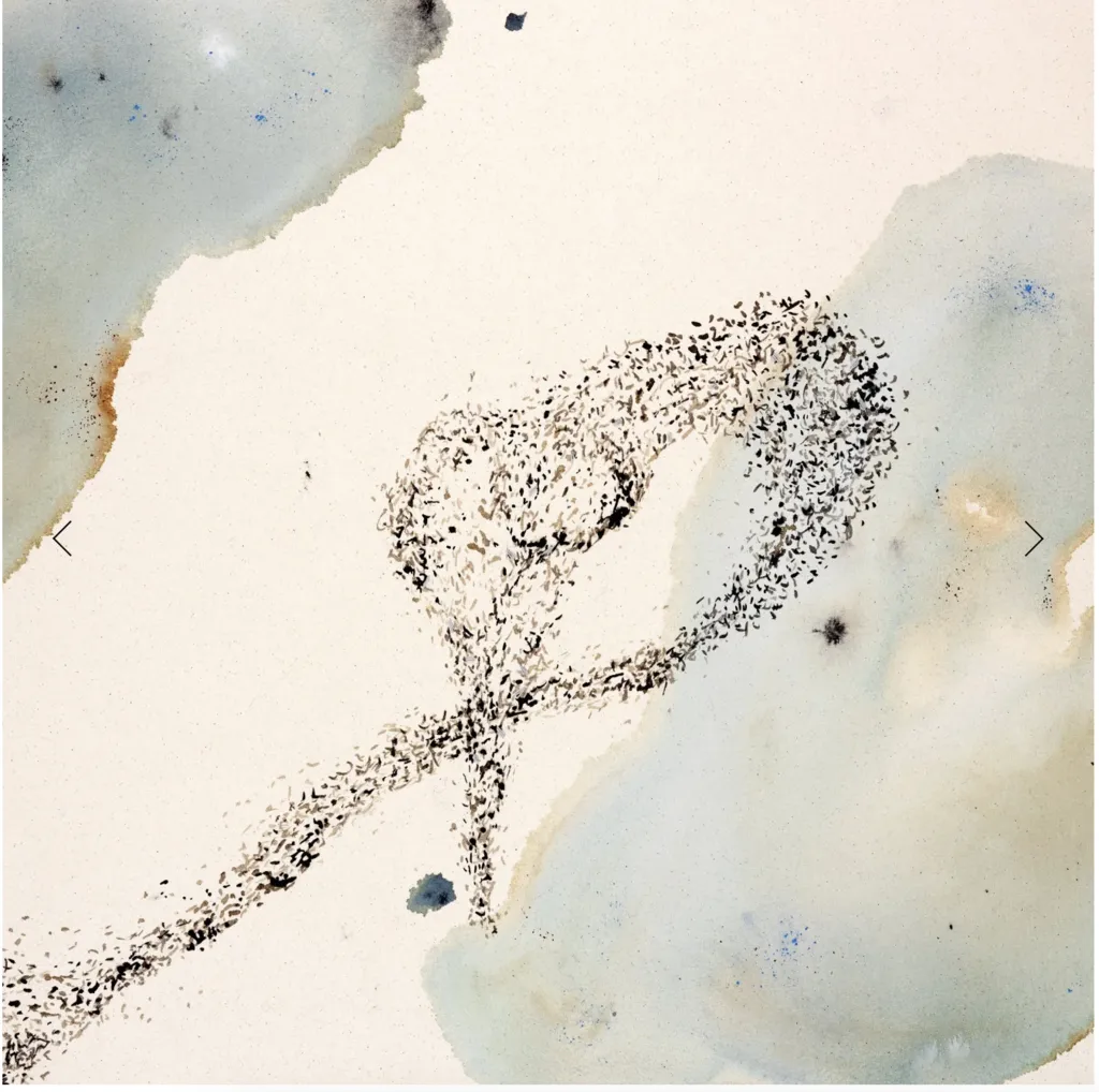 PETALS & POLLINATORS (Members' Show) – Member Gallery Exhibition