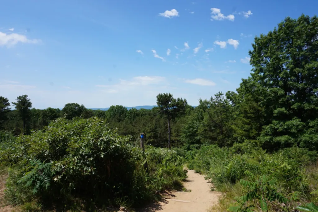 Father's Day Hike