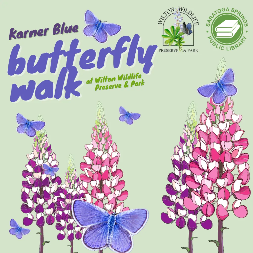 Karner Blue Butterfly Walk at Wilton Wildlife Preserve In-Person