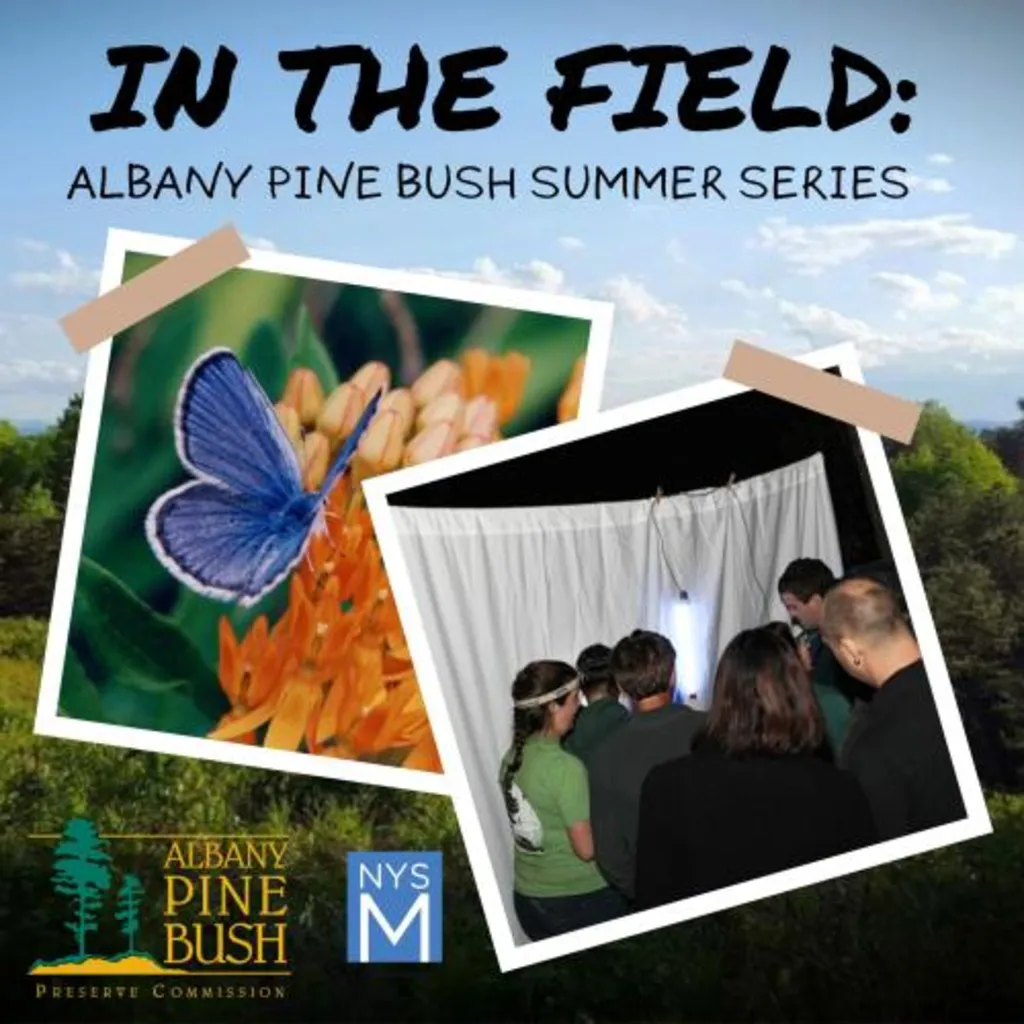 In the Field: Albany Pine Bush Summer Series - Moth Mania