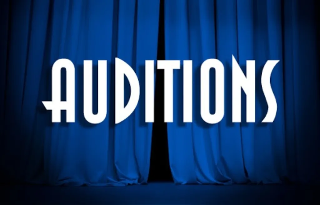 Sunlight and Stardust Variety Show Auditions