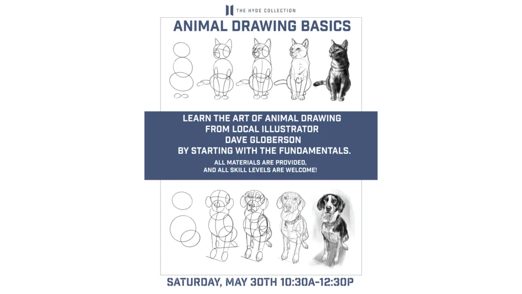 Animal Drawing Basics