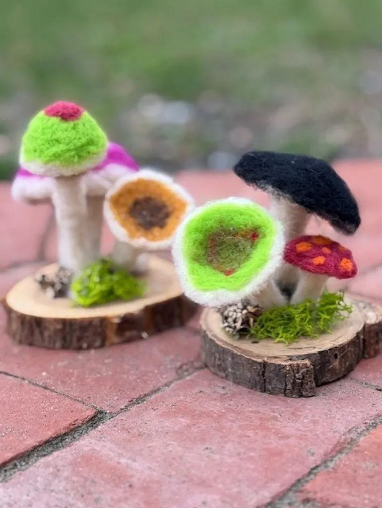 Sat/Sun needle Felting Workshop with Linda of Facci Designs