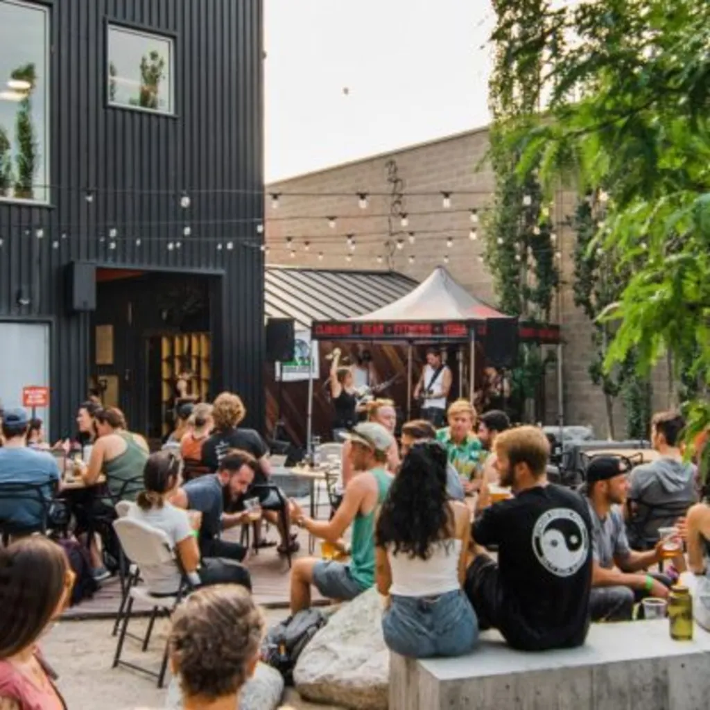 Summer Music Series: Stonefed