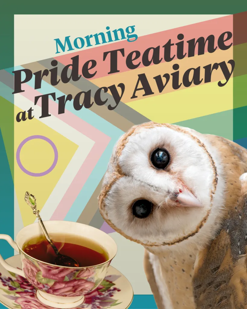 Pride Morning Teatime at Tracy Aviary – A Wicked Good Time