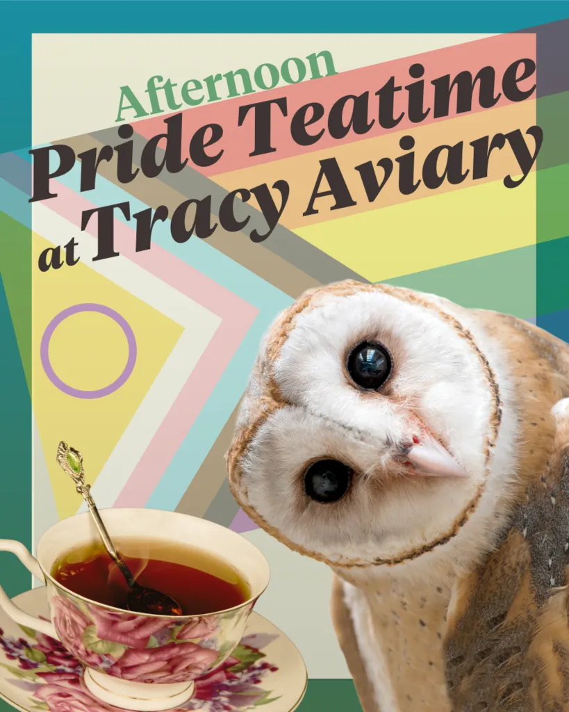 Pride Afternoon Teatime at Tracy Aviary – A Wicked Good Time
