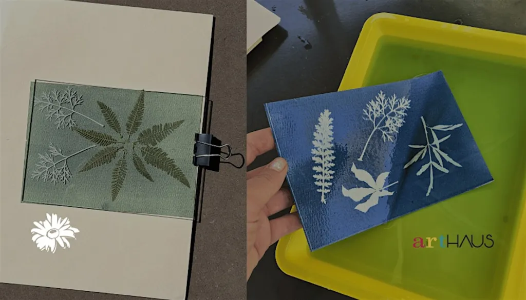 Cyanotype Workshop