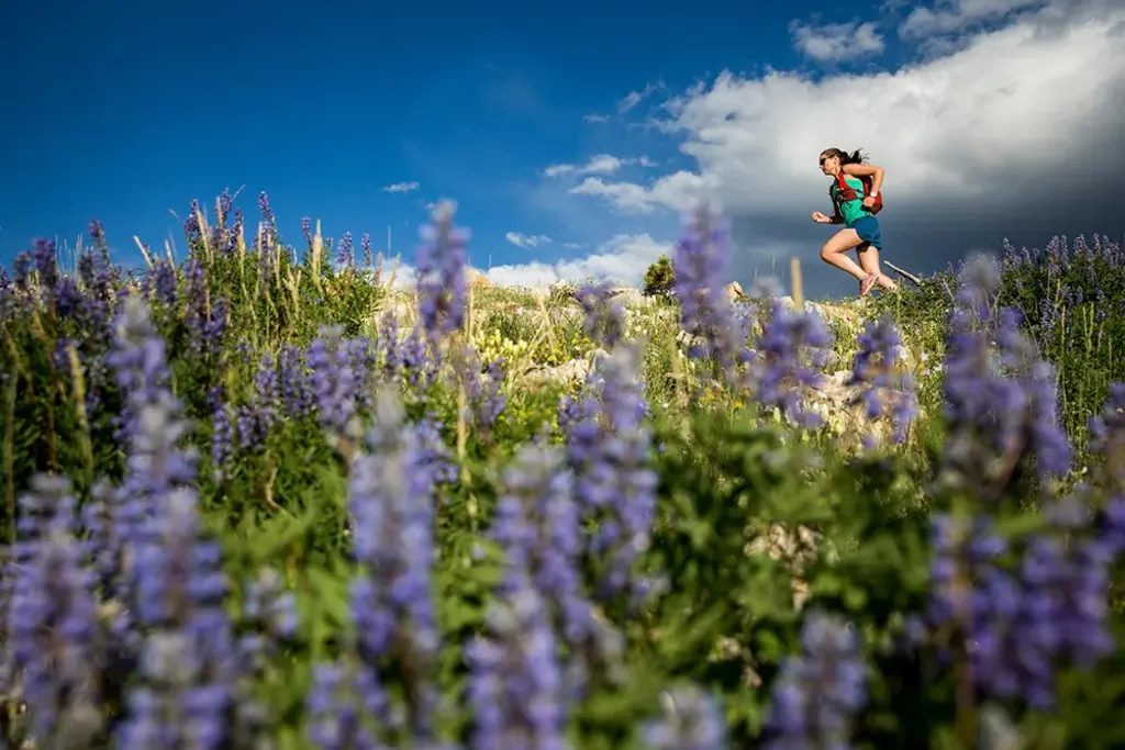 Wasatch Trail Run Series