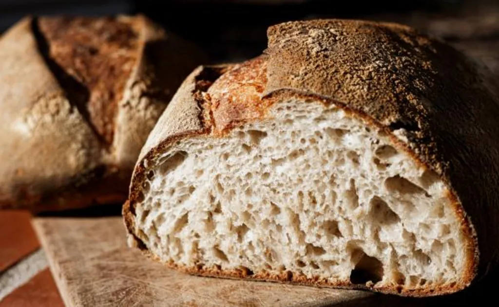 Living Dough: An Introduction to Sourdough