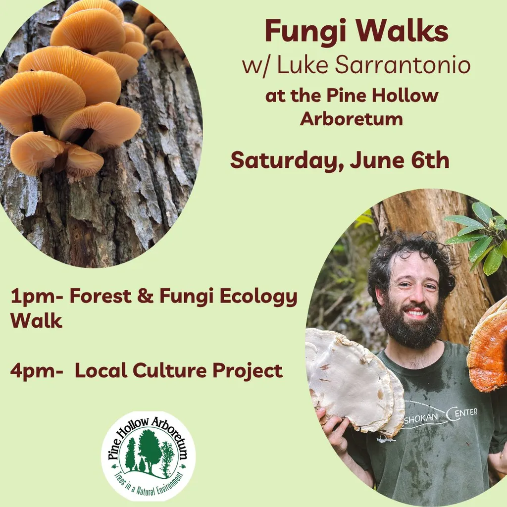 Fungi Walks with Luke Sarrantonio